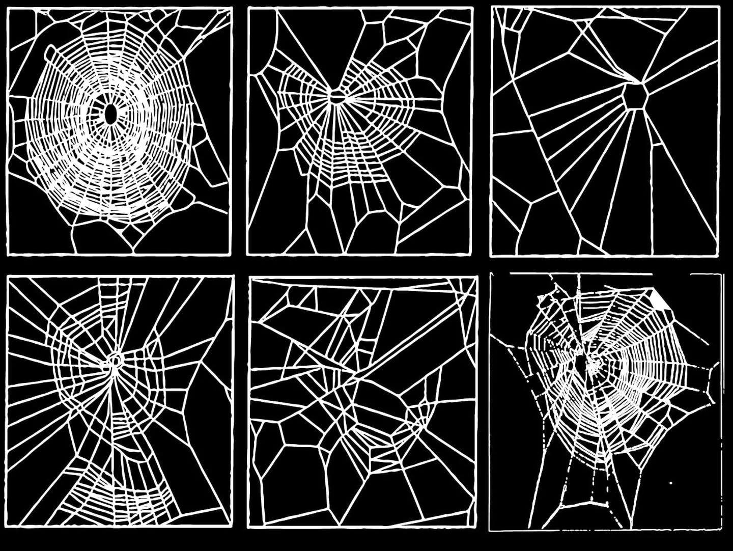 Павуки і наркотики